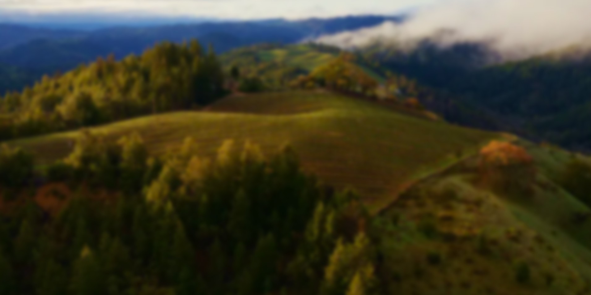 Landscape background